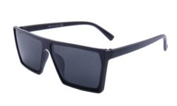 Polarized POL-190A